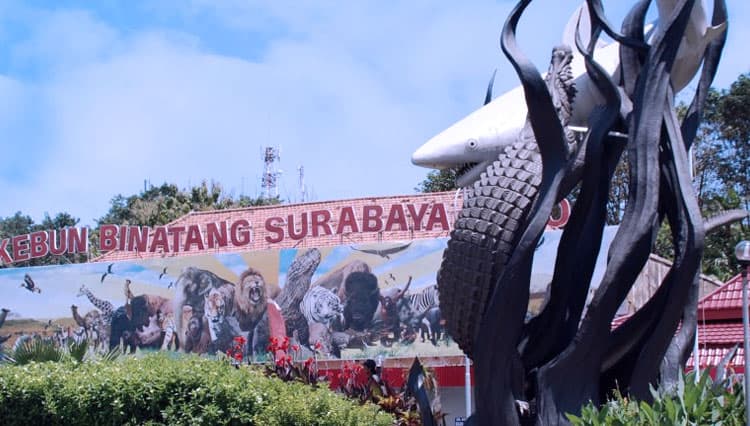 Wisata Kebun Binatang Surabaya di Surabaya